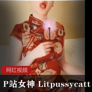 推特网红《Litpussycatt》黑丝旗袍