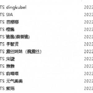 高颜值TS资源合集：312个视频，18.4G，dingkubel、SIA、芭娜娜等人齐聚一堂